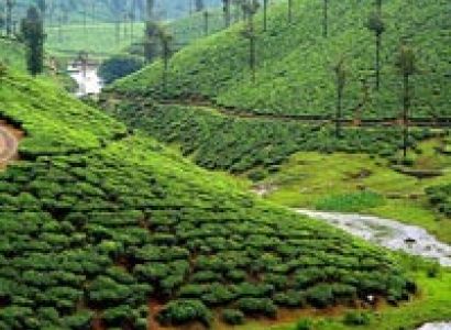 Southern Tour with Hills