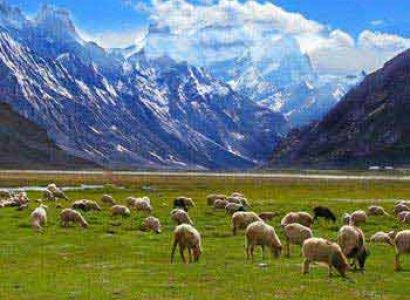 5 Night Ladakh Tour Package