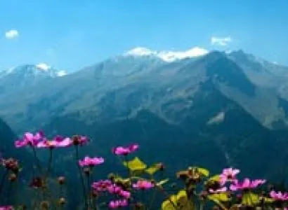 (2) Shimla Manali Special Tour Package (5 Nights 6 Days)