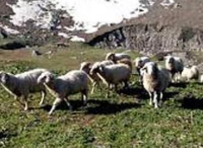 Chandarnahan Lake Trek (Pabbar Valley) - Shimla Tour