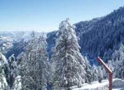 Sparkle Of Manali Trip Tour