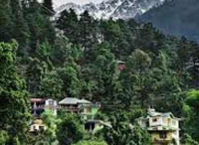 Trip To Little Lhasa (Dharamshala)