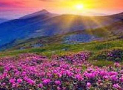 Himachal Harmony Trip With Delhi & Agra Tour