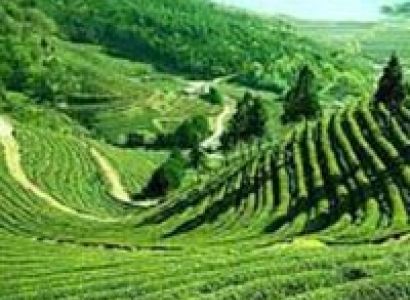 Mesmerizing Darjeeling Gangtok Tour