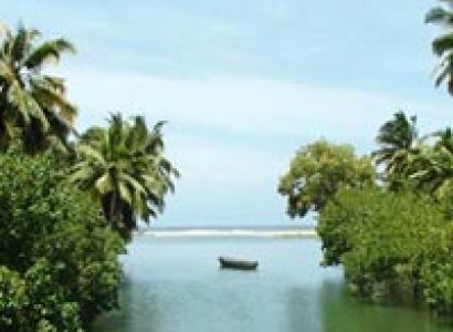 Rejuvenate With Ayurveda Programme In Kerala Tour