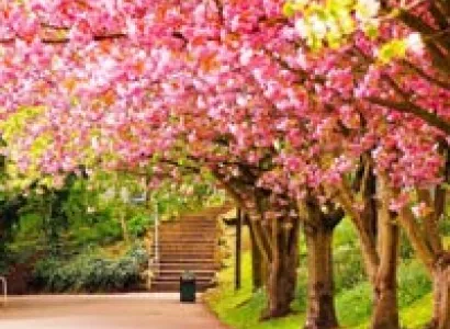 Uttarakhand Special Tour