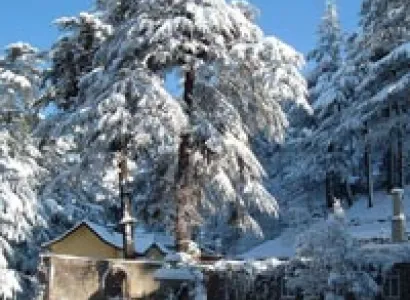 Student Group Tour To Chandigarh-Shimla