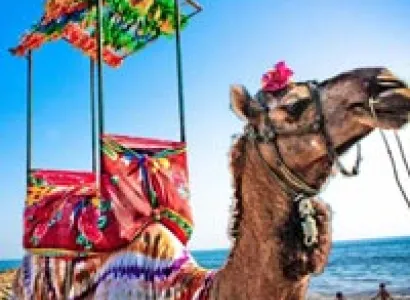 Student Group Tour To Jaipur