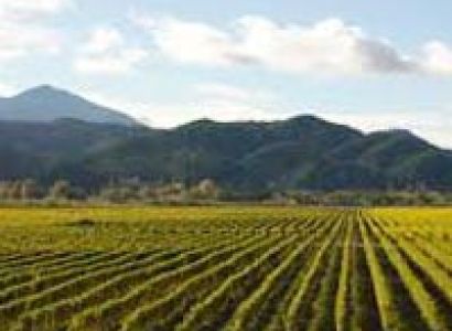 New Zealand North Island Tour