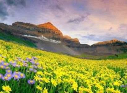 Valley of Flowers Trek  Tour