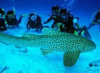 Best Andaman Tour With Havelock