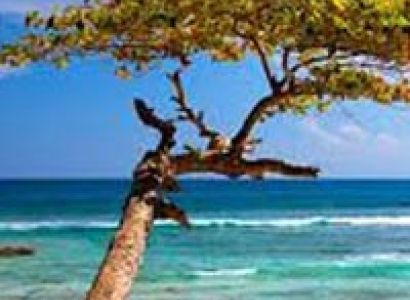 6 Nights, 7 Days (05N-PB, 01N-HL & NL) Tour