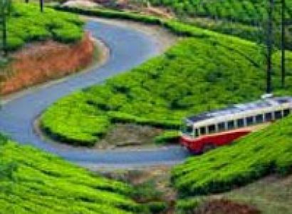 Essence of Kerala Tour