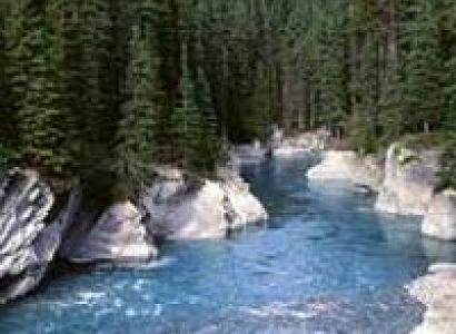 Kashmir Honeymoon Tour