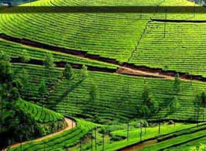 Ooty Hill Tour Package