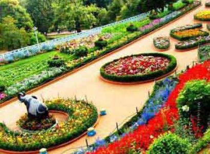 Bangalore Ooty Tour