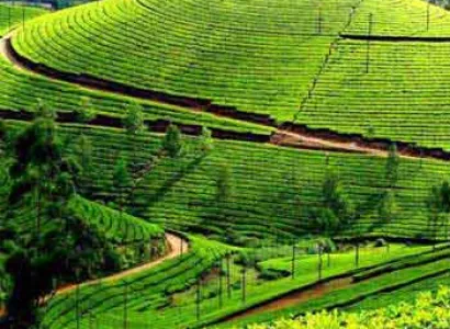Short Trip to Kerala Tour