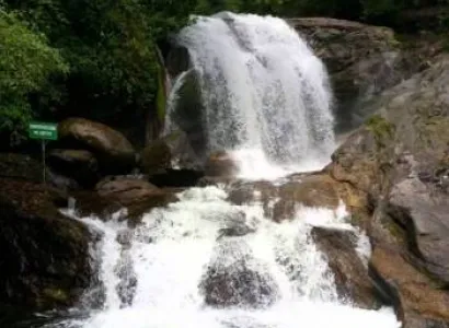 Hills & Backwaters Tour