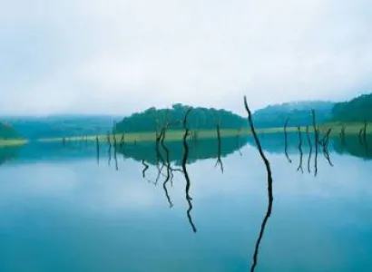 Hightlights of Kerala Tour