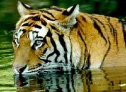 Complete Uttarakhand Tour