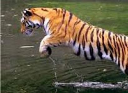 Delightful Uttarakhand Tour