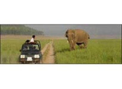 Adventure Tour at Jim Corbett (Summer Special) Tour