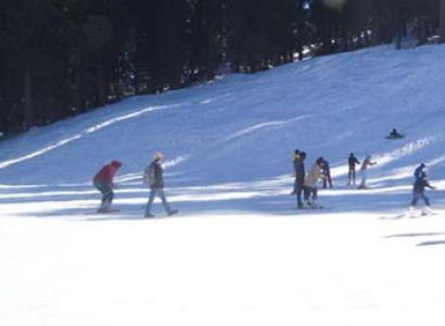 Unforgettable Shimla Kinnaur Tour