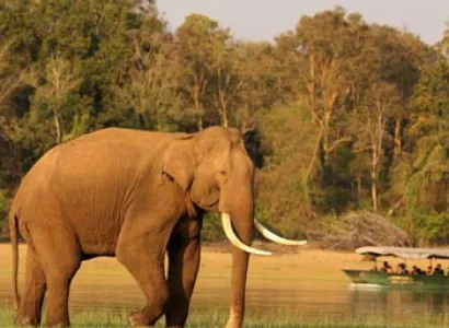 South India Tour with Wildlife Tour