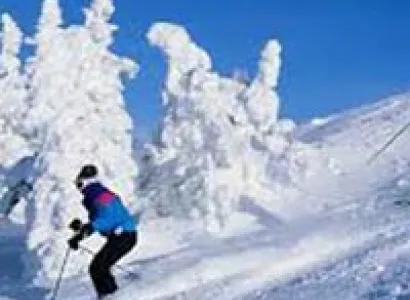 Shimla Manali Tour