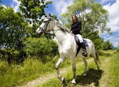 Naranag Domail Marchoi Day Trek