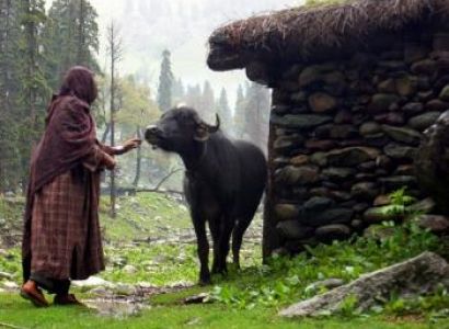 Aharbal Kungwattan Day Trek