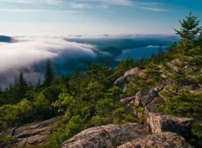 Horsley Hills Nature Trails Tour Image