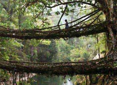 A Taste of North East Tour