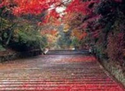 Mussoorie - Dehradun - Haridwar Tour