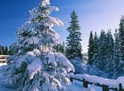 Shimla - Manali Tour