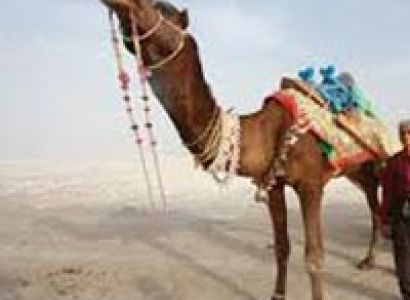 Weekend Tour Of Dasada