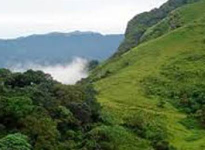 Southern Tour with Hills