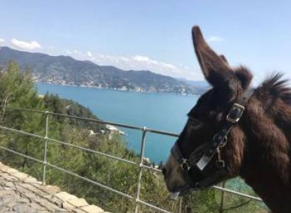 Raft from Nimmo to Alchi Village Tour
