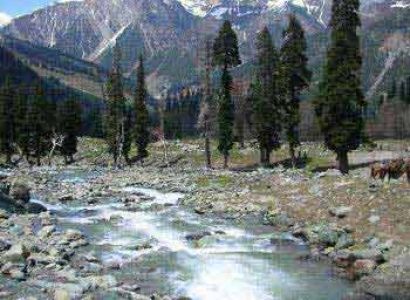 5 Night 6 Days Package