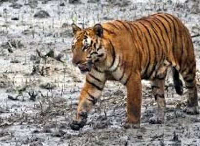 Exotic Destination Tour