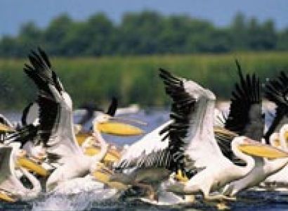 Discover The Danube Delta Tour
