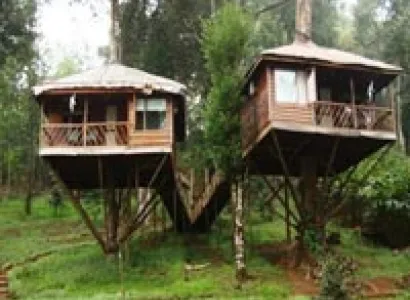 kerala 6 Nights - 7 Days Tour