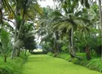 kerala 8N 9 D Tour