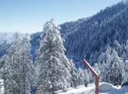 Shimla Short Escape Package