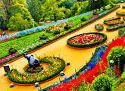 Short Escape to Ooty Tour