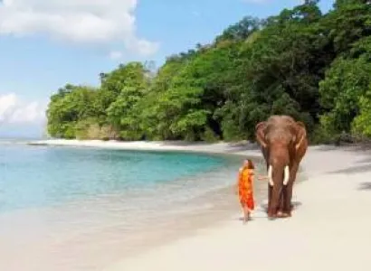 Andaman 4N 5D Tour Package (III)