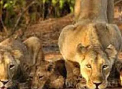 Trip To Ahmedabad Tour