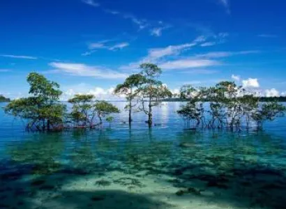 Andaman-nicobar Tour