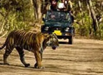 Jim Corbett Tour