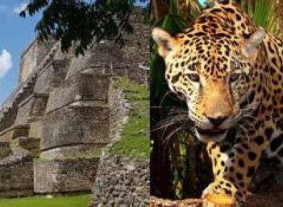 Altun Ha and Belize Zoo Tour